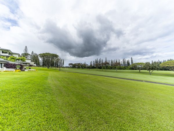 Kapalua Condo 990244