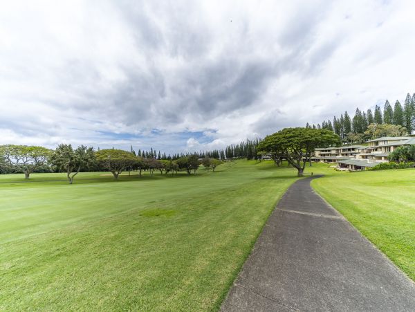 Kapalua Condo 990244