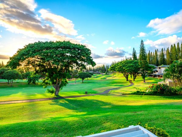 Amazing Condo in Kapalua with Ocean View Sleeps 4