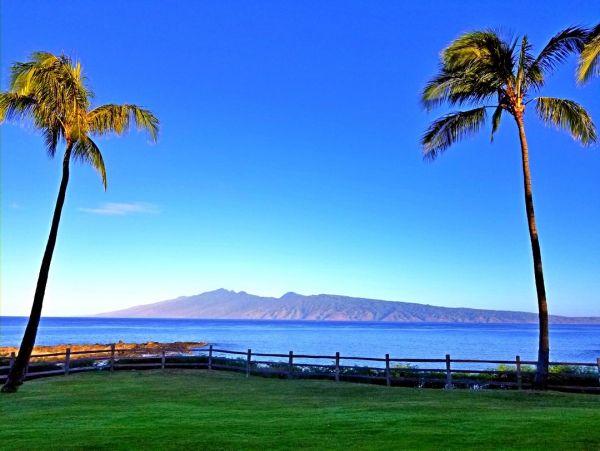 Kapalua Condo 990247