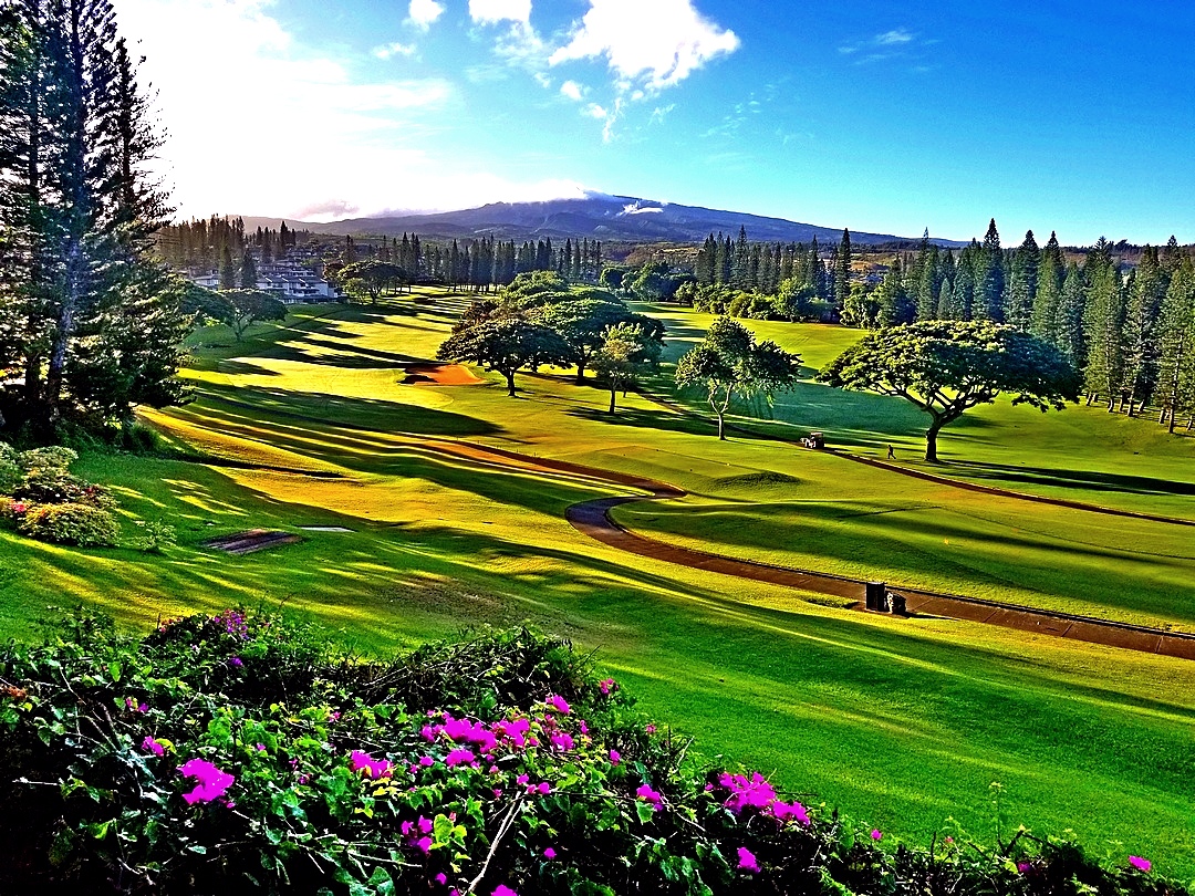 Kapalua Condo 990247