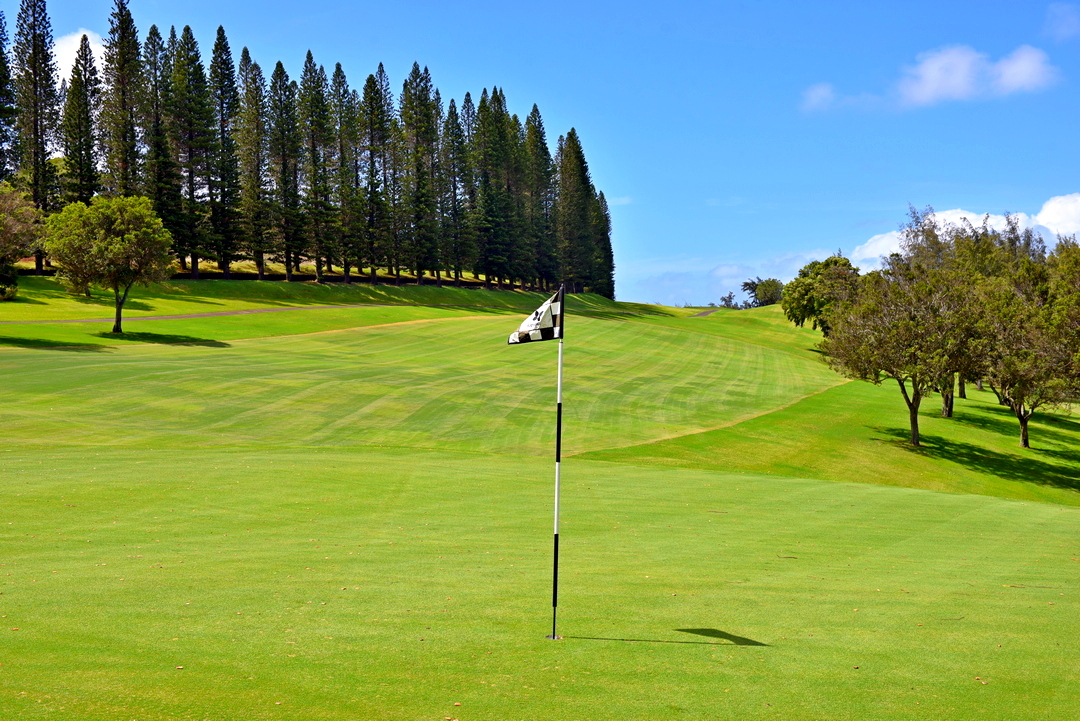 Kapalua Condo 990247