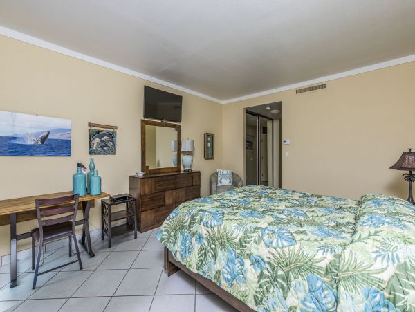Kapalua Condo 990248