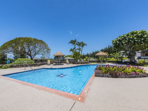 Kapalua Condo 990248