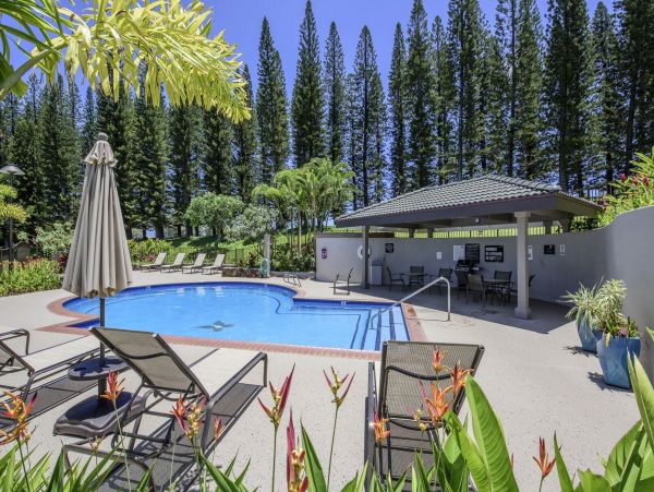 Kapalua Condo 990248