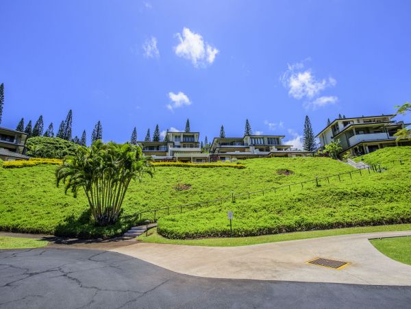 Kapalua Condo 990248