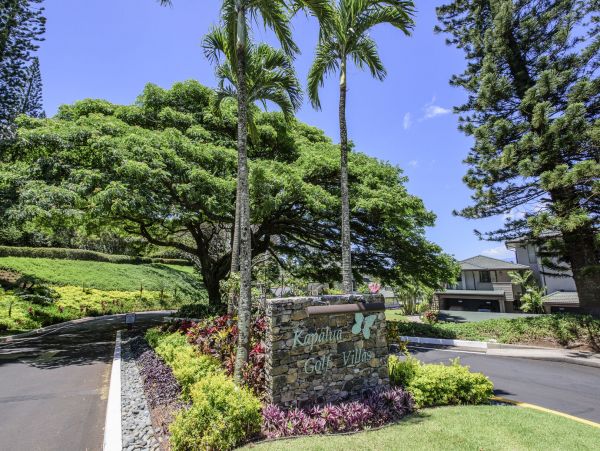 Kapalua Condo 990248