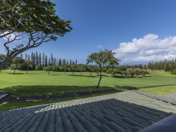 Kapalua Condo 990249