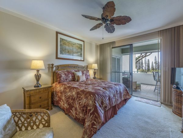 Kapalua Condo 990249