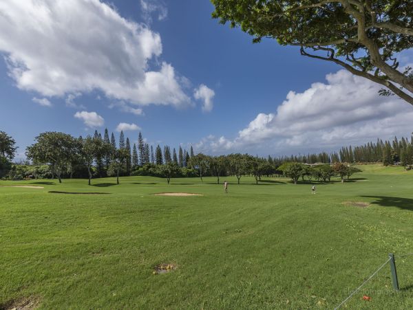 Kapalua Condo 990249