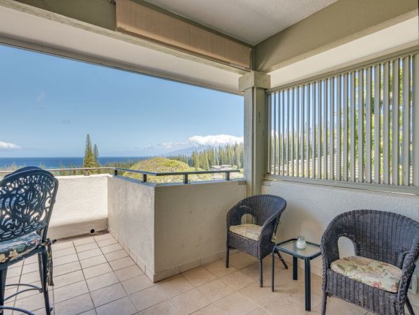 Kapalua Condo 990250