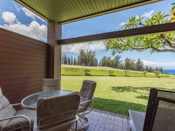 Kapalua Condo 990251