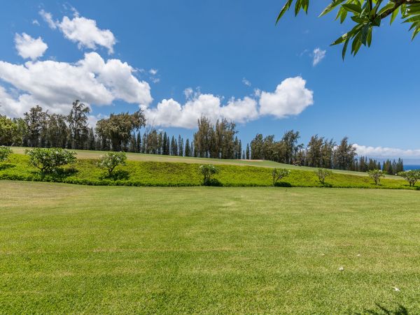 Kapalua Condo 990251