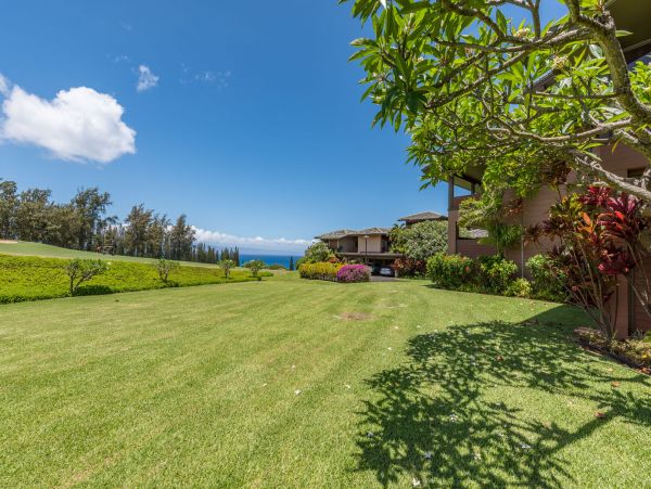 Kapalua Condo 990251