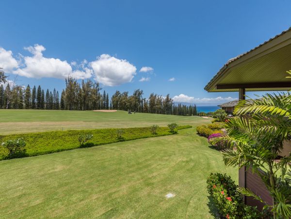 Kapalua Condo 990252