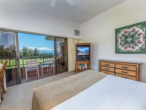 Kapalua Condo 990252