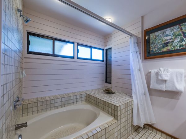 Kapalua Condo 990252