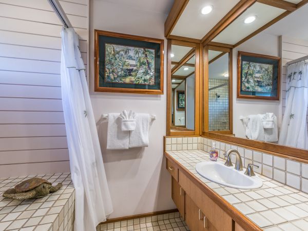 Kapalua Condo 990252