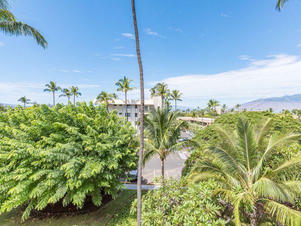 Wailea Condo 990253