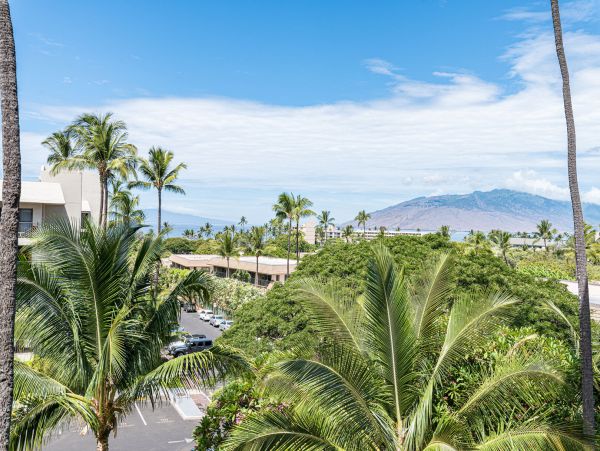 Wailea Condo 990253