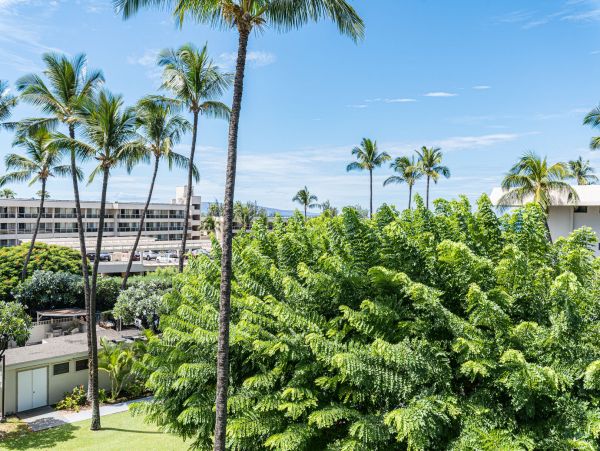 Wailea Condo 990253
