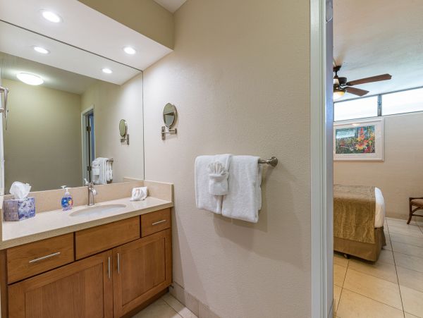 Wailea Condo 990253
