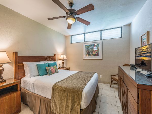 Wailea Condo 990253