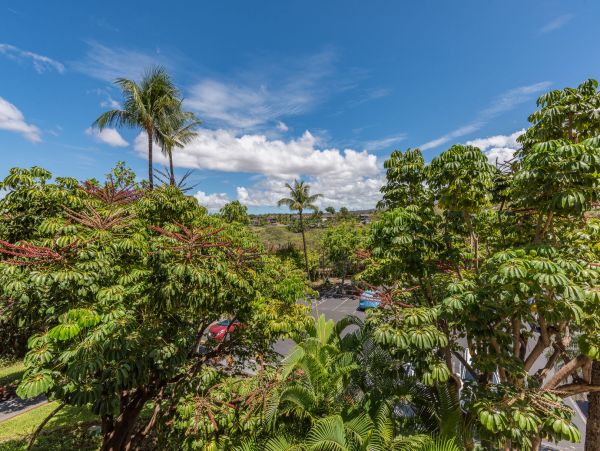 Wailea Condo 990253