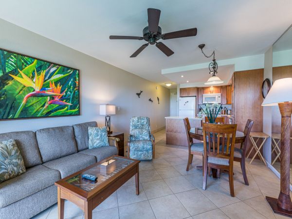 Wailea Condo 990254