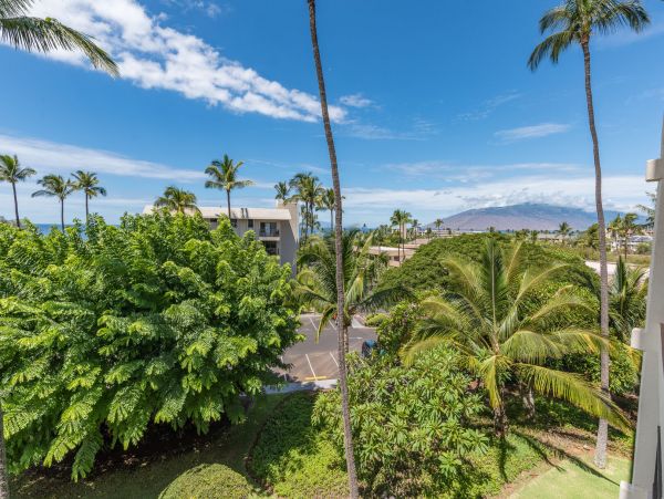 Wailea Condo 990254