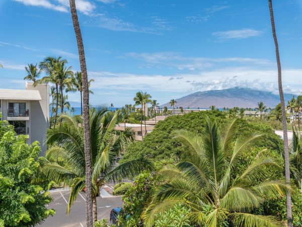 Wailea Condo 990254