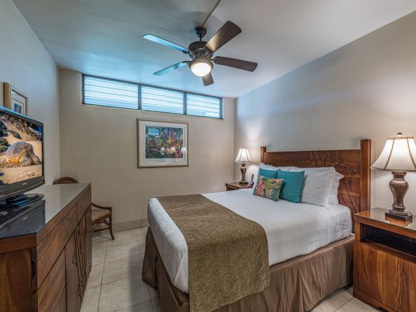 Wailea Condo 990254