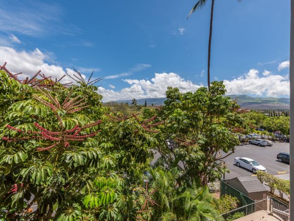 Wailea Condo 990254