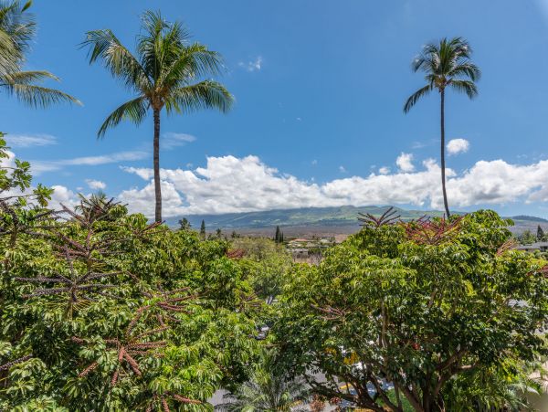 Wailea Condo 990254