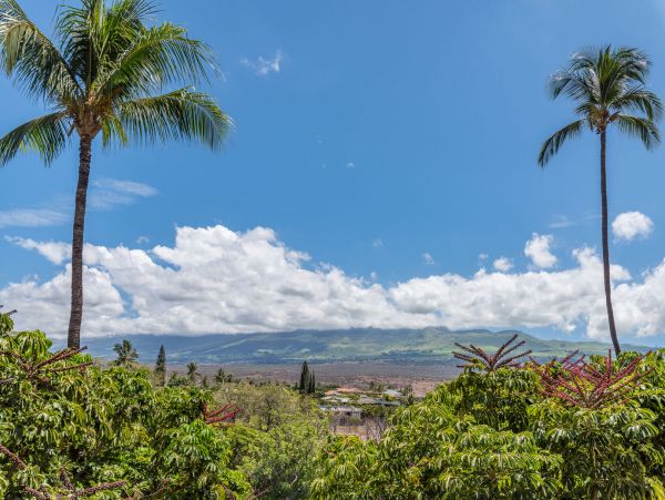 Wailea Condo 990254