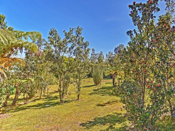 Puna District Home 990282