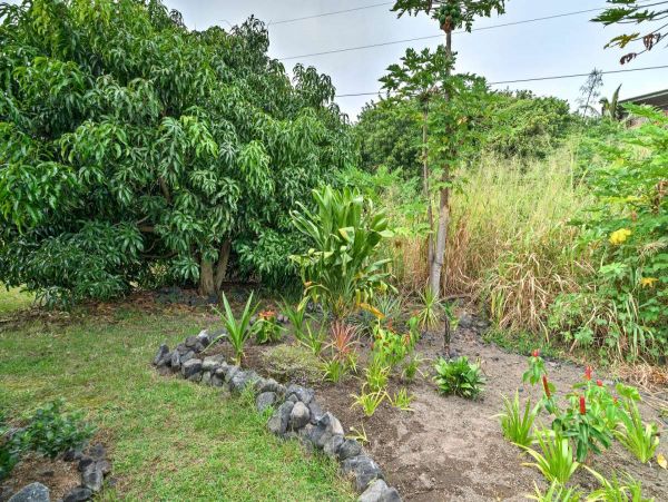 Puna District Home 990284