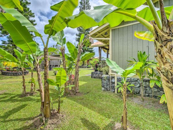 Puna District Home 990286