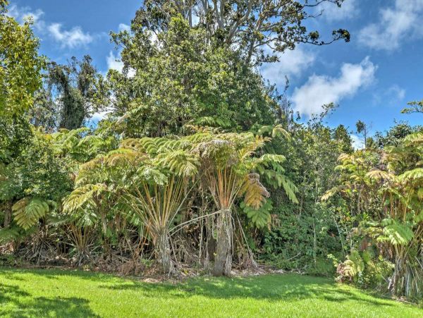 Puna District Home 990293