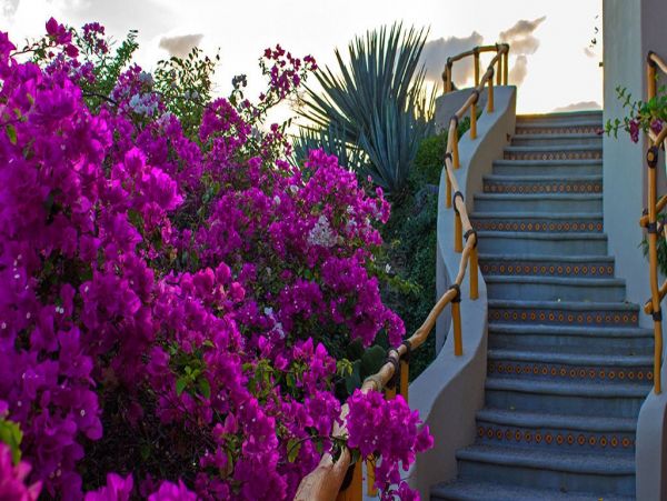 Puerto Vallarta Punta Mita Home 990308