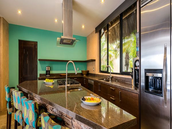 Puerto Vallarta Punta Mita Home 990310