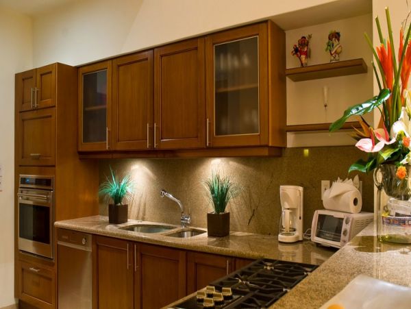 Puerto Vallarta Punta Mita Home 990313