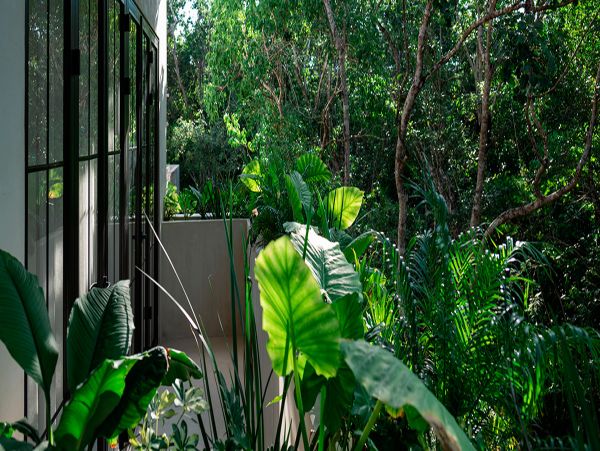 Tulum Home 990379