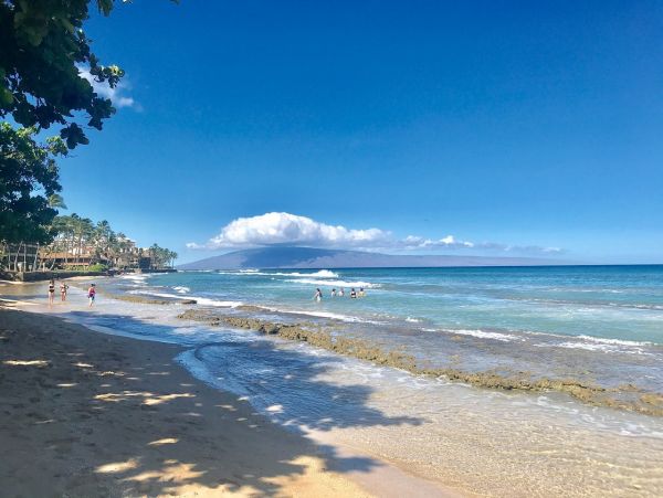 On Beach Kaanapali Vacation Condo One Bedroom