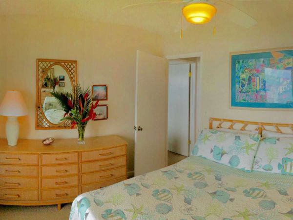 Princeville Home 990582