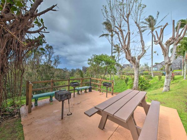 Princeville Condo 990585