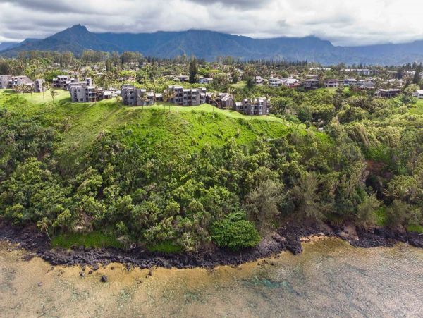Princeville Condo 990585