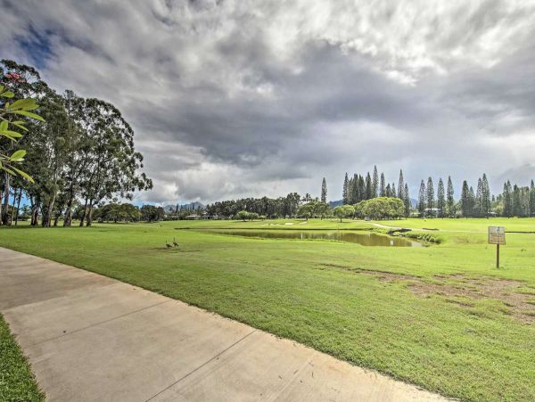 Princeville Condo 990588