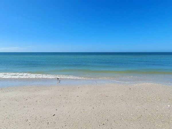 Vacation Home Rental on Marco Island With Pool & Boat Dock