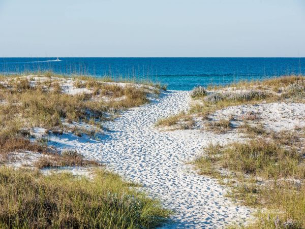 Luxury Five Bedroom Vacation Home in Grayton Beach